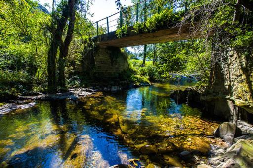 Hotel Rural Casa Cueto Инфиесто Екстериор снимка
